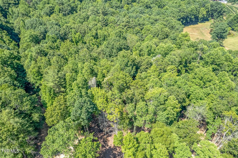 Photo #4: Tbd Sink Valley Road