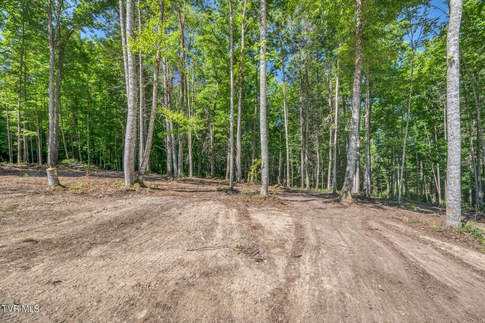 Photo #6: Tbd Sink Valley Road