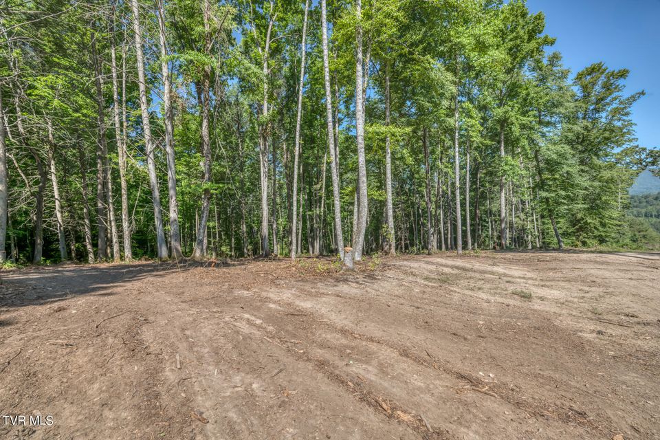 Photo #8: Tbd Sink Valley Road