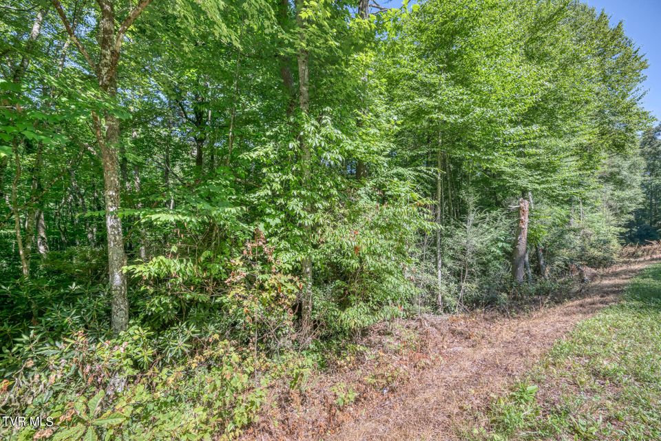 Photo #14: Tbd Sink Valley Road