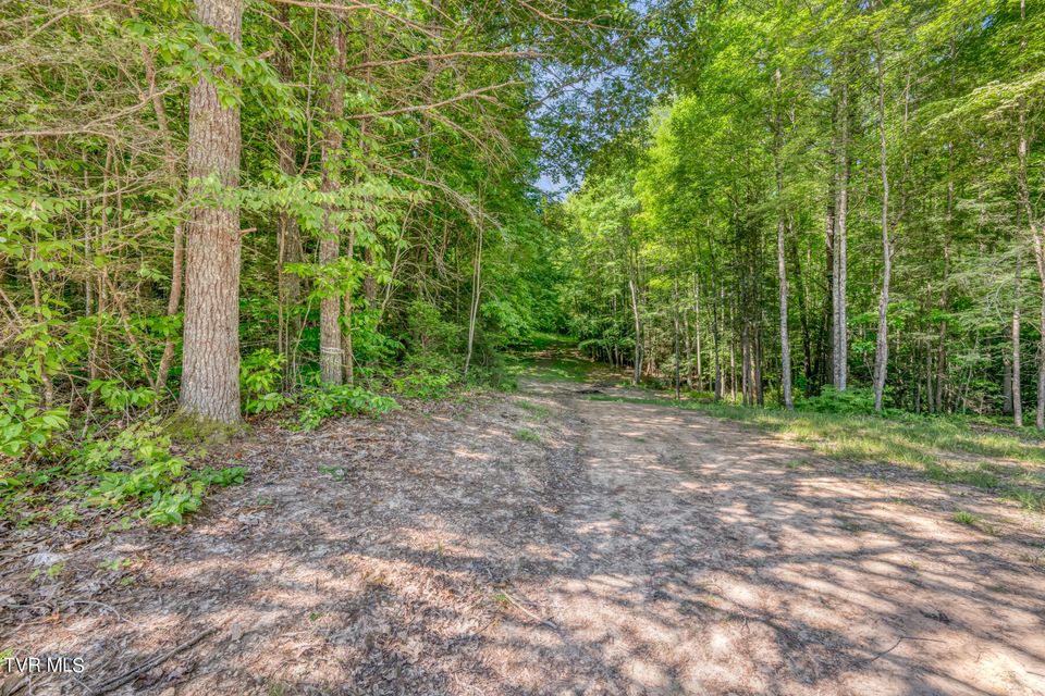 Photo #15: Tbd Sink Valley Road