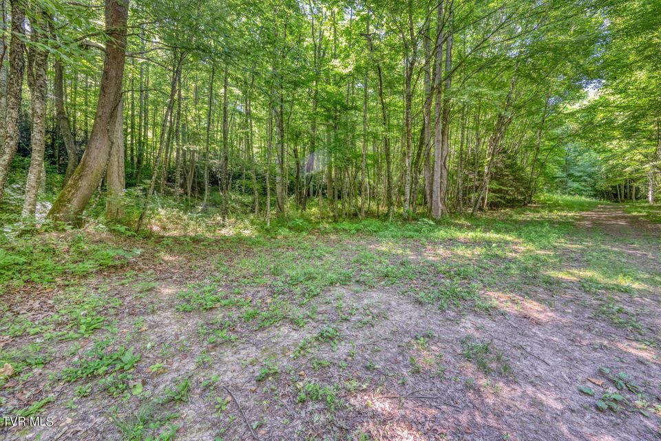 Photo #16: Tbd Sink Valley Road