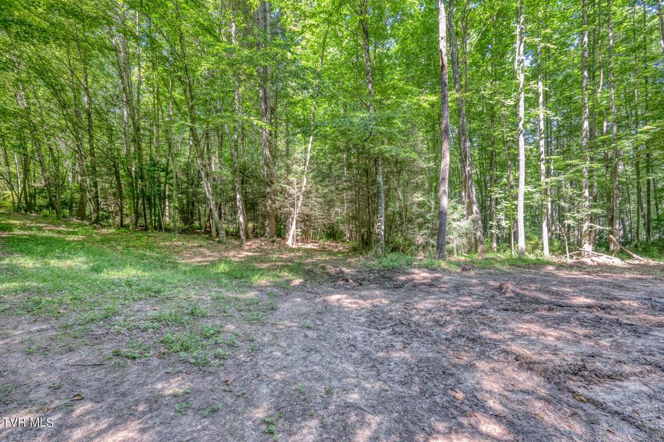 Photo #17: Tbd Sink Valley Road