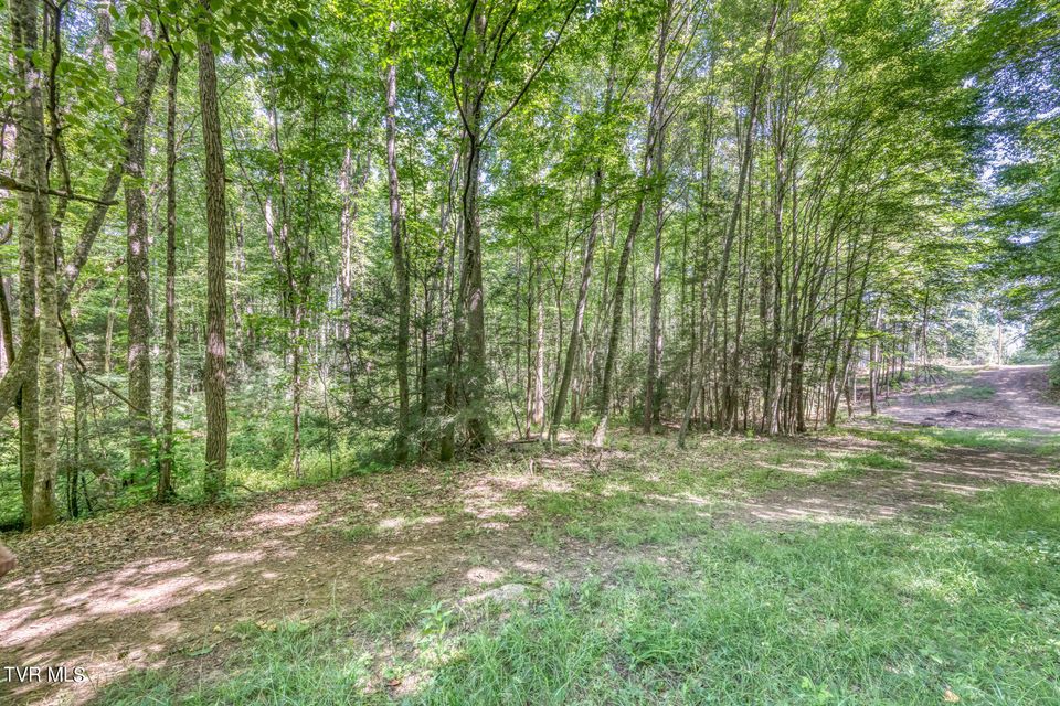 Photo #18: Tbd Sink Valley Road