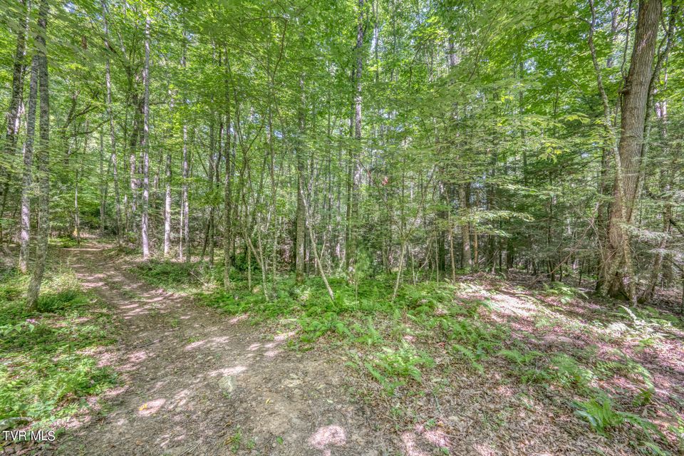 Photo #20: Tbd Sink Valley Road