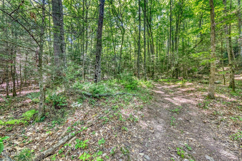 Photo #21: Tbd Sink Valley Road