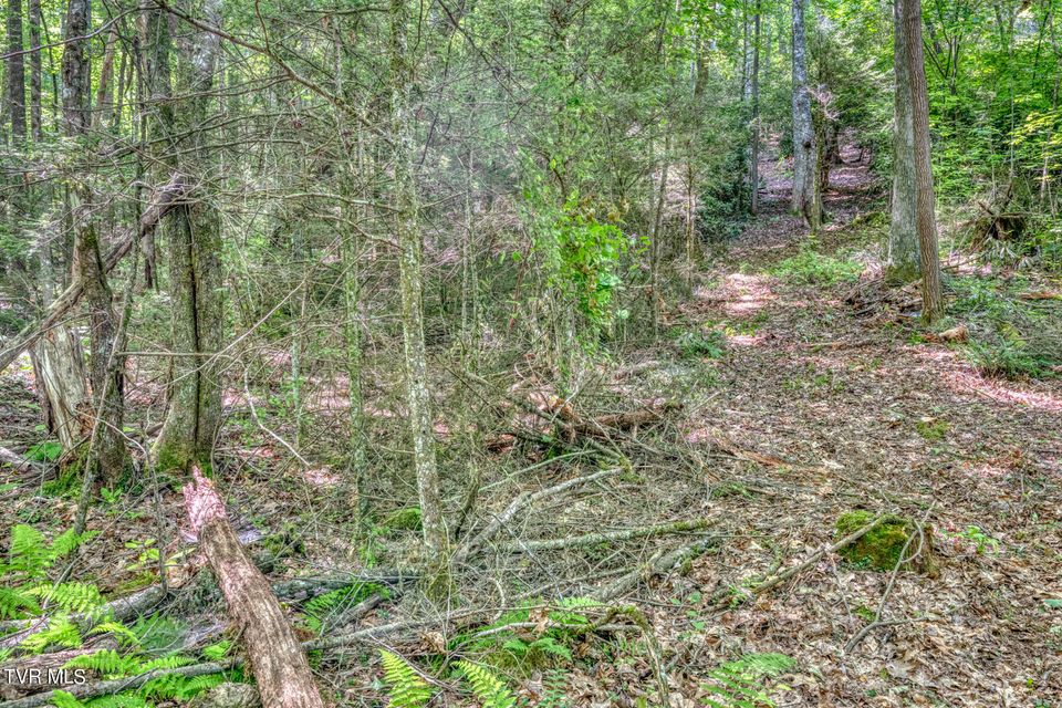 Photo #22: Tbd Sink Valley Road