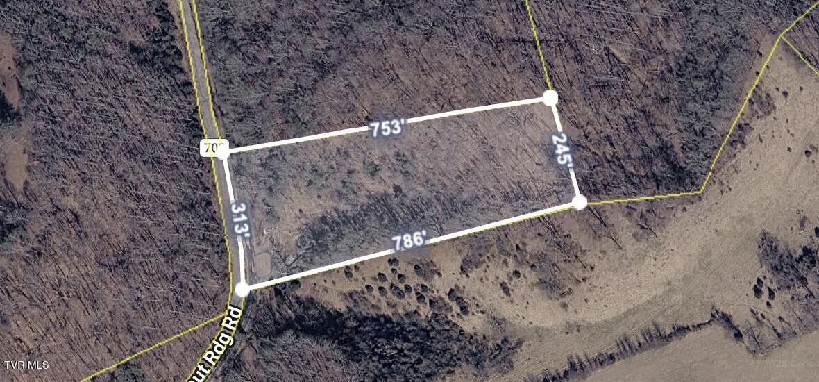 Photo #9: 29188 Chestnut Ridge Road