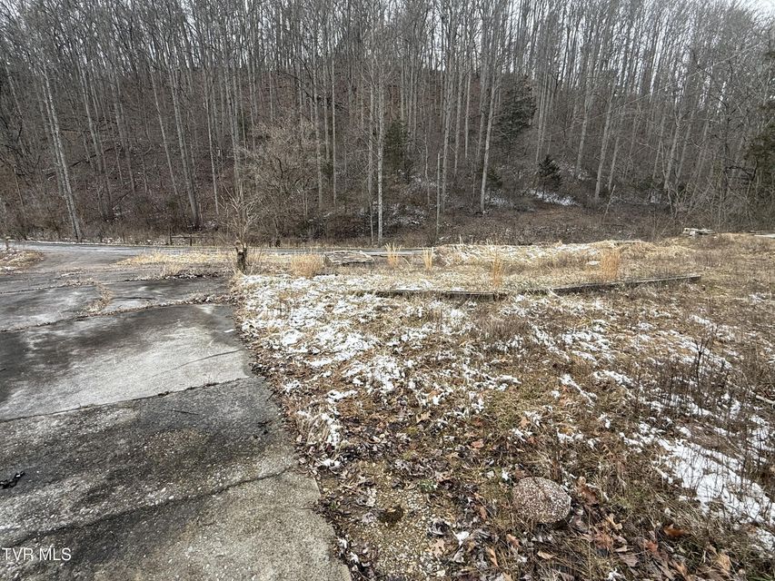 Photo #4: 29188 Chestnut Ridge Road