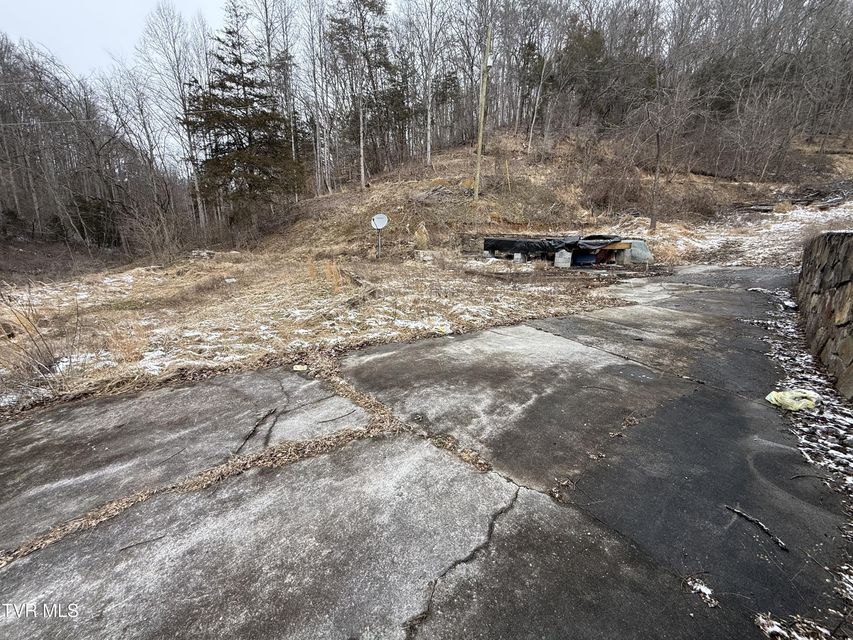 Photo #5: 29188 Chestnut Ridge Road