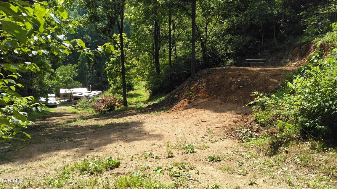 Photo #7: 29188 Chestnut Ridge Road