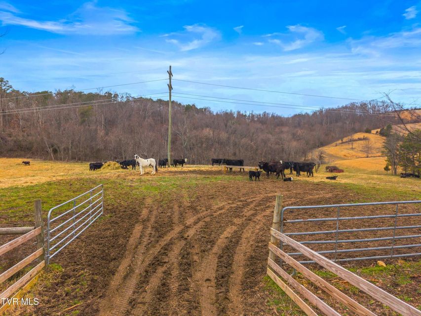 Photo #14: Tbd Grassy Valley Road