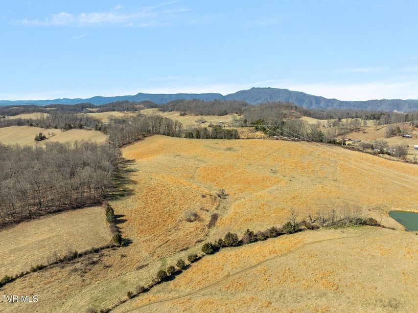 Photo #3: Lot 5 Tbd Tennessee 93 