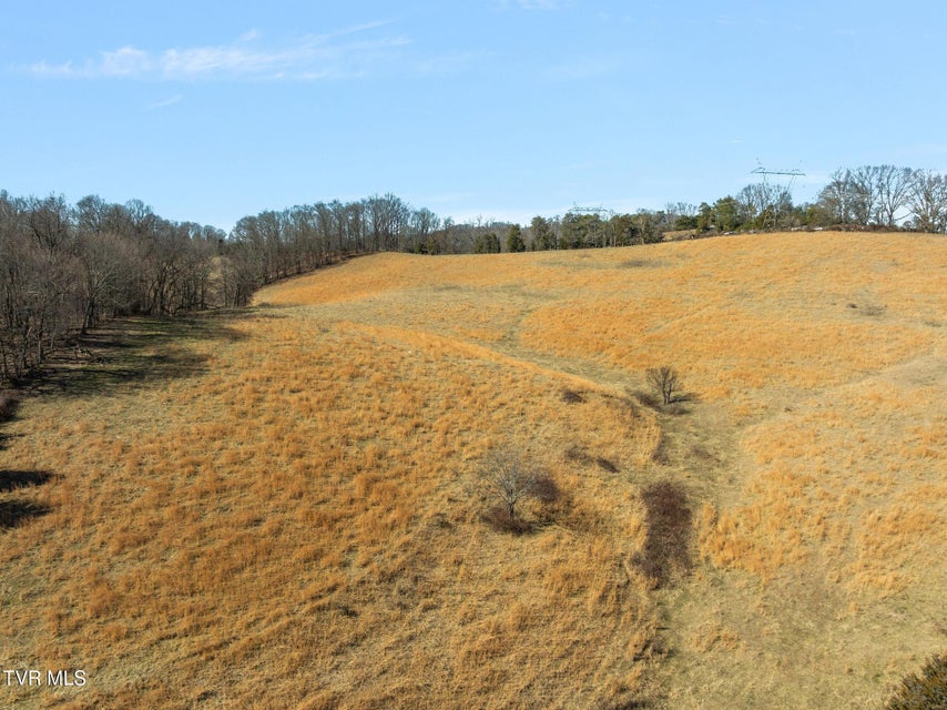 Photo #8: Lot 5 Tbd Tennessee 93 