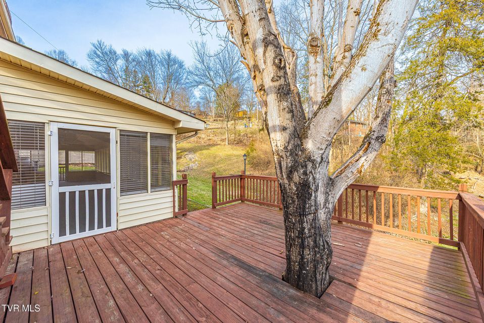 Photo #52: 394 Elm Street