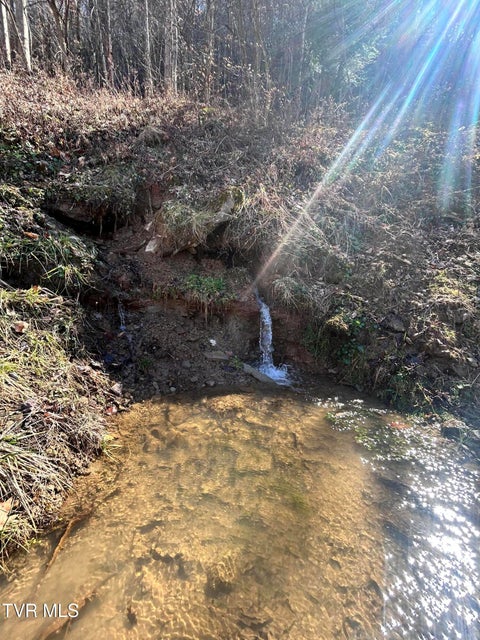 Photo #15: 1460 Gum Branch Road