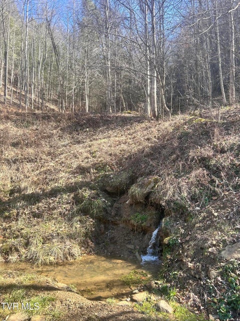 Photo #18: 1460 Gum Branch Road