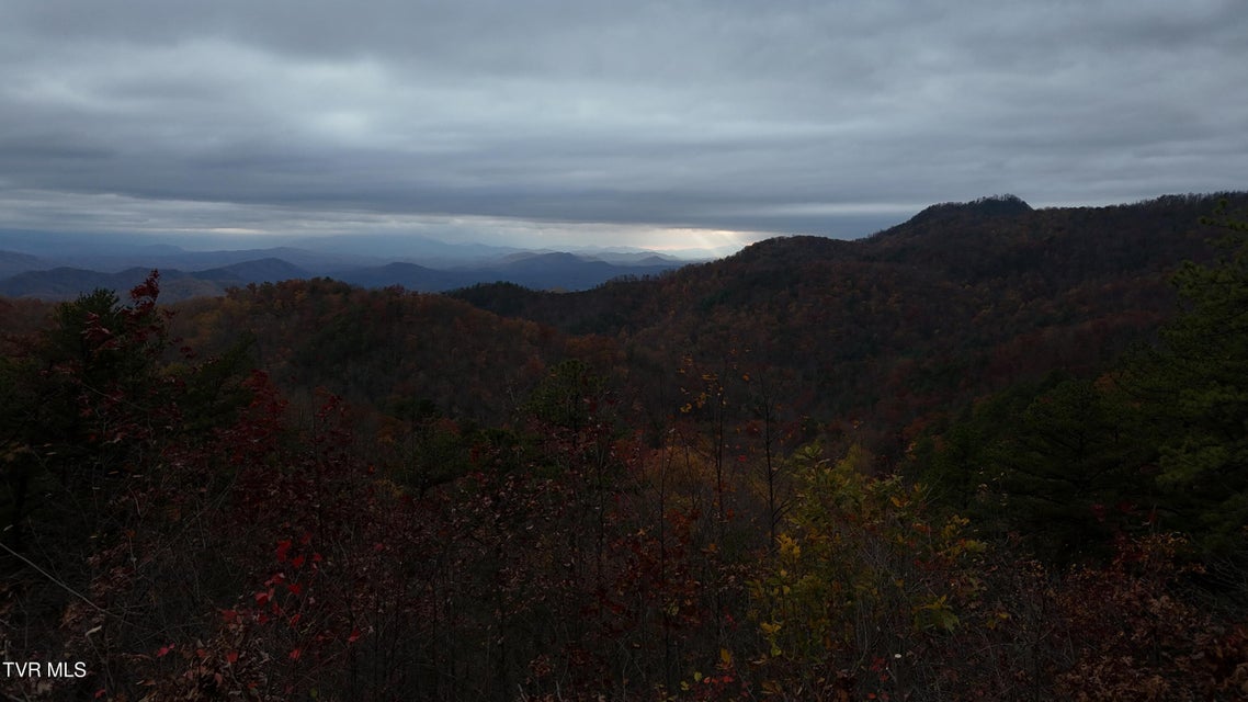 Photo #39: 1081 Cove Road