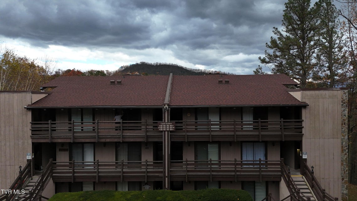 Photo #41: 1081 Cove Road