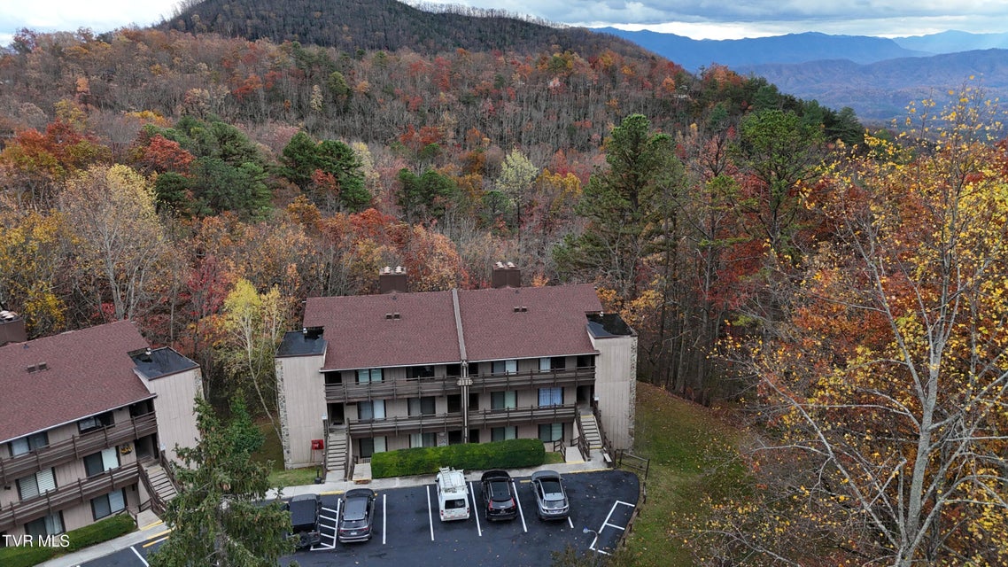 Photo #44: 1081 Cove Road