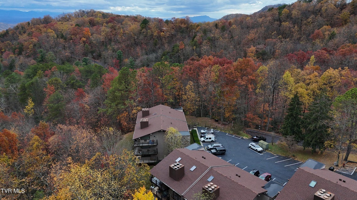 Photo #49: 1081 Cove Road