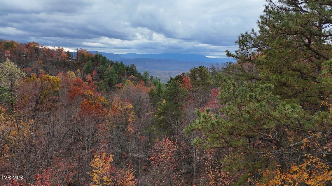 Photo #51: 1081 Cove Road