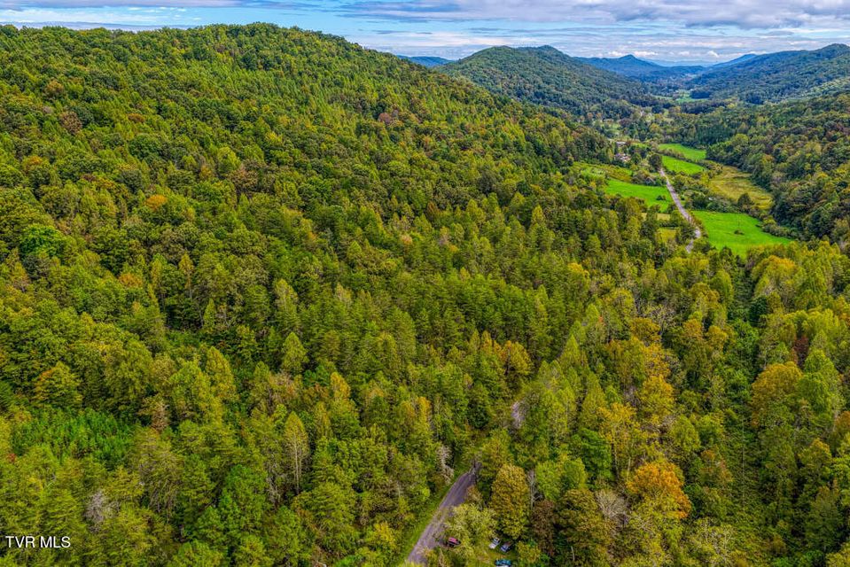 Photo #3: Lot 2 Butcher Valley Road 