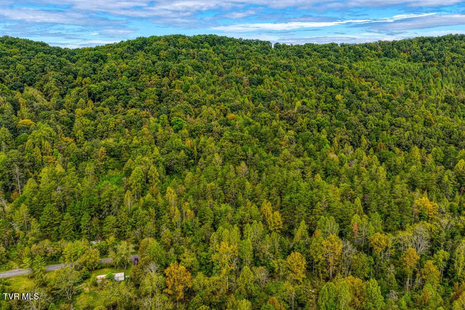 Photo #10: Lot 2 Butcher Valley Road 