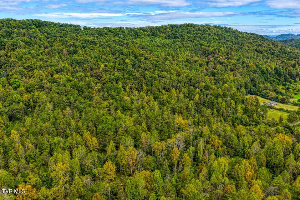 Photo #12: Lot 2 Butcher Valley Road 