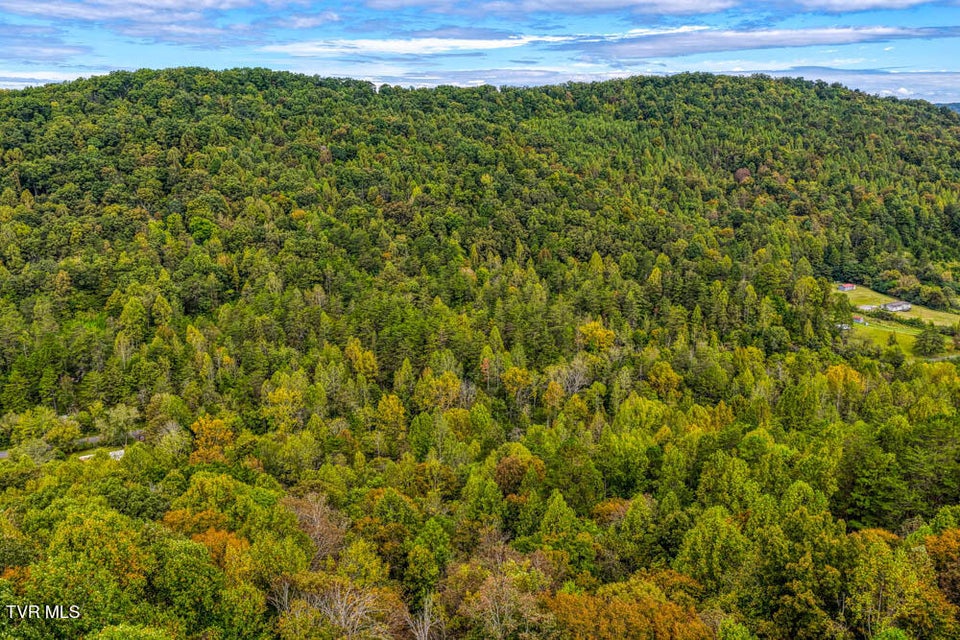 Photo #14: Lot 2 Butcher Valley Road 