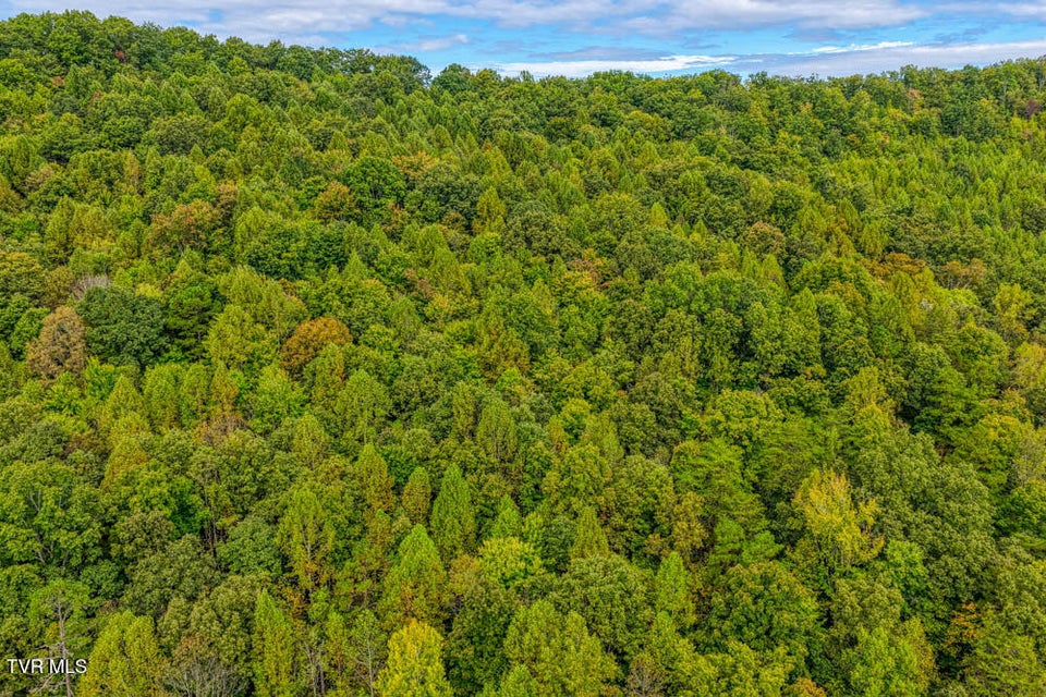 Photo #15: Lot 2 Butcher Valley Road 