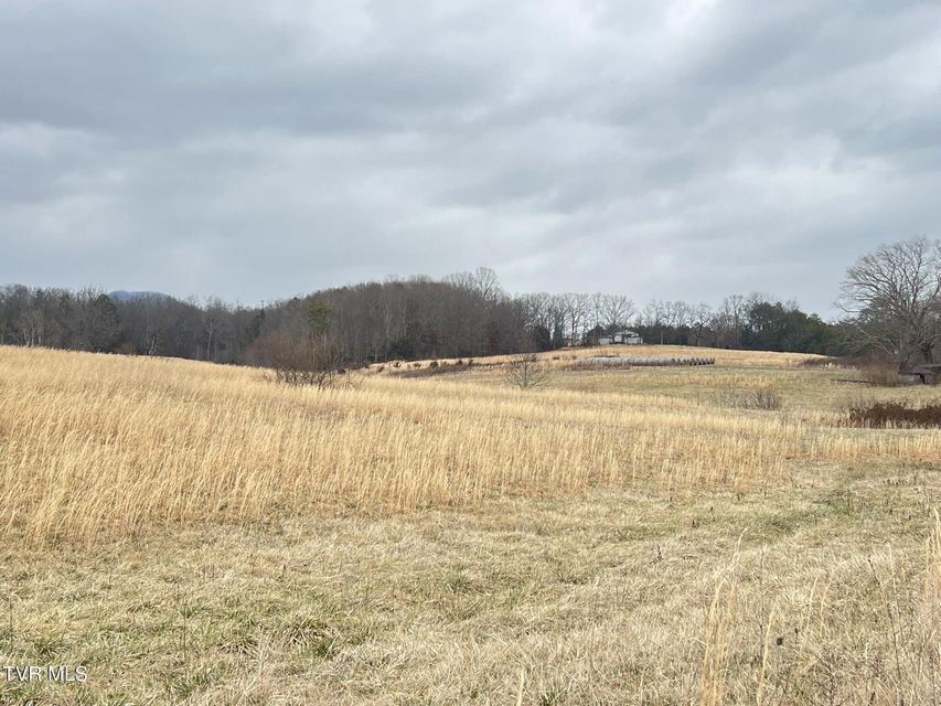 Photo #10: Tbd Brake Tree Lane