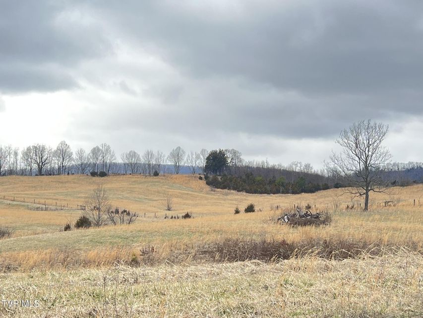 Photo #11: Tbd Brake Tree Lane