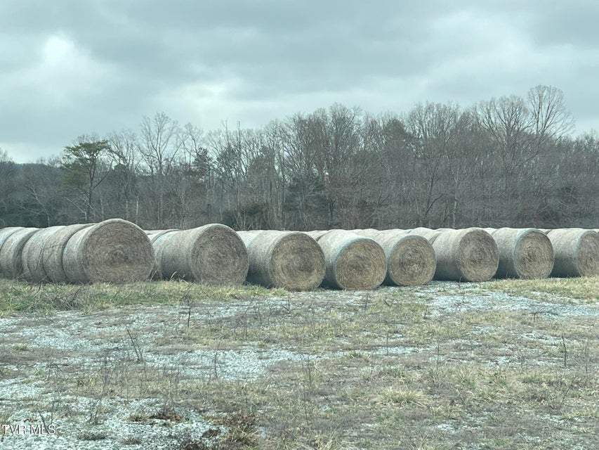 Photo #12: Tbd Brake Tree Lane