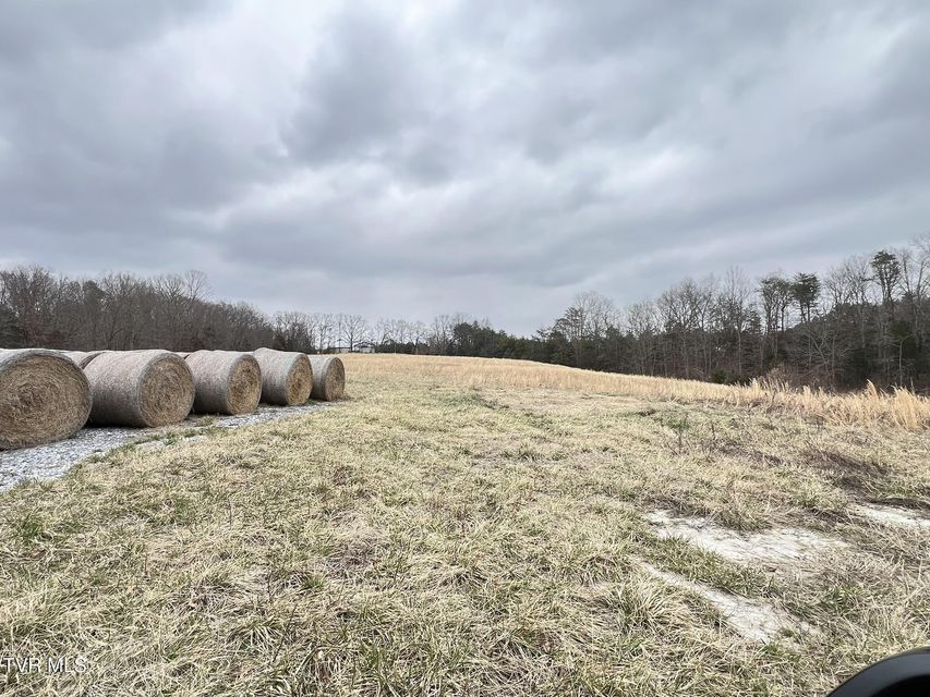 Photo #13: Tbd Brake Tree Lane