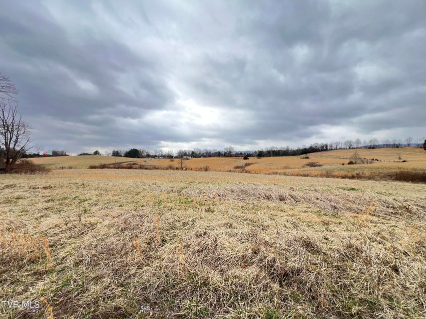 Photo #15: Tbd Brake Tree Lane