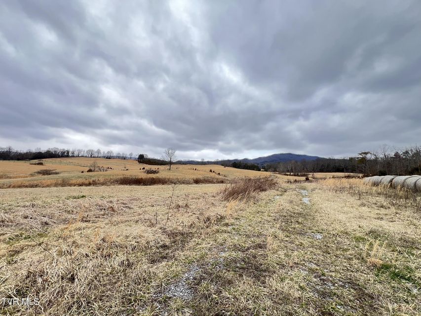 Photo #16: Tbd Brake Tree Lane