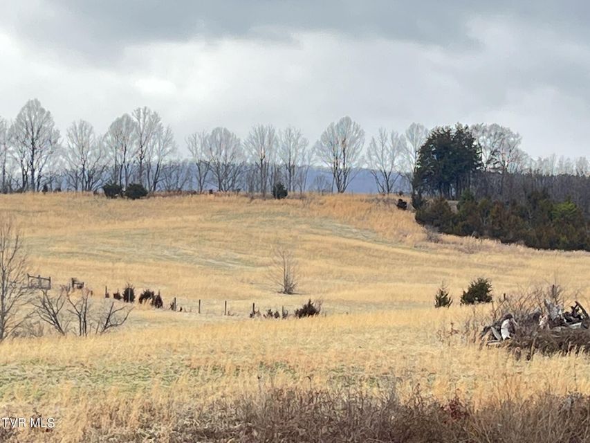 Photo #18: Tbd Brake Tree Lane