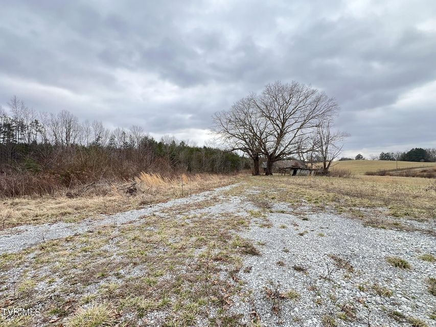 Photo #21: Tbd Brake Tree Lane