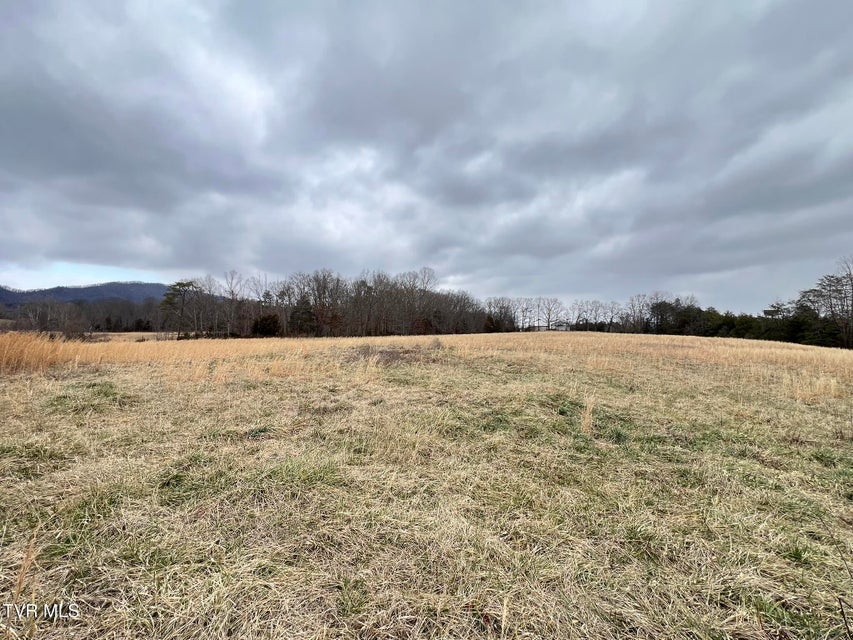 Photo #23: Tbd Brake Tree Lane