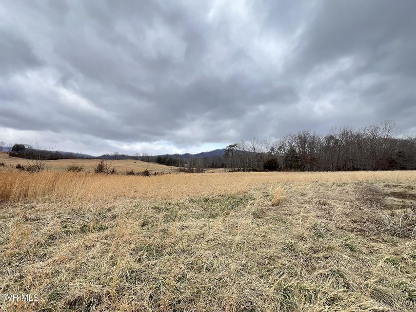 Photo #25: Tbd Brake Tree Lane