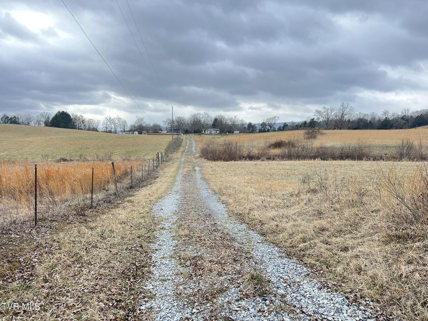 Photo #28: Tbd Brake Tree Lane