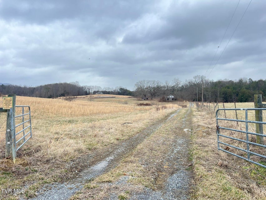 Photo #27: Tbd Brake Tree Lane