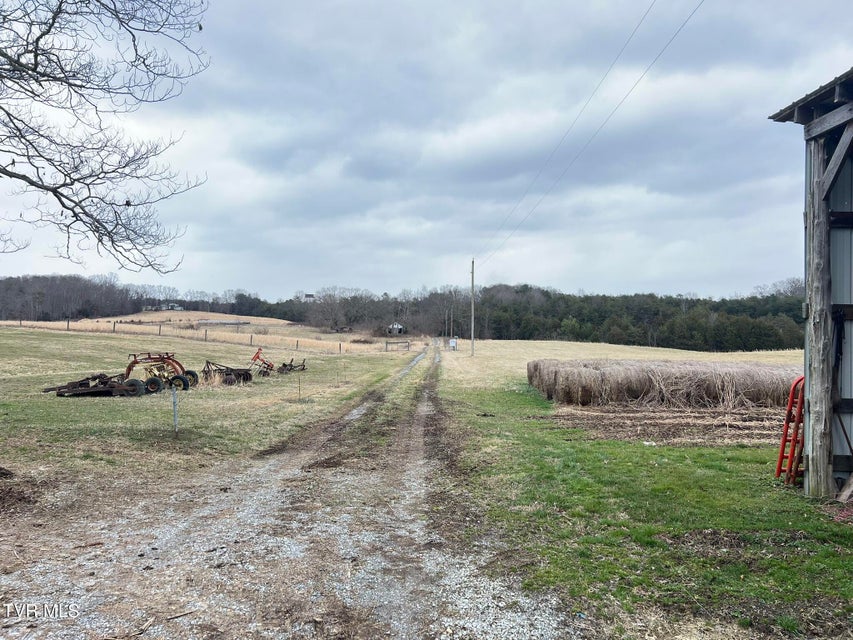 Photo #29: Tbd Brake Tree Lane