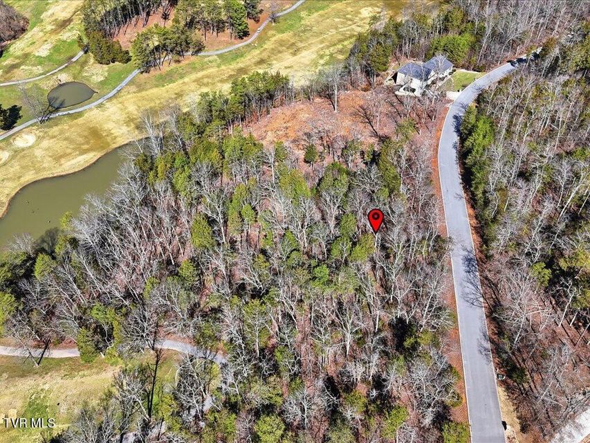 Photo #2: Lot 101 Eagles Ridge