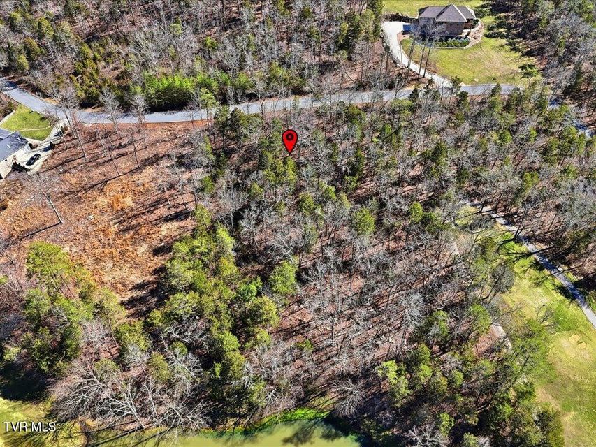 Photo #9: Lot 101 Eagles Ridge