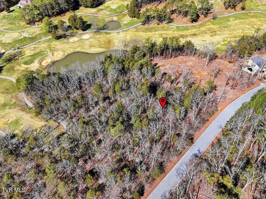 Photo #11: Lot 101 Eagles Ridge