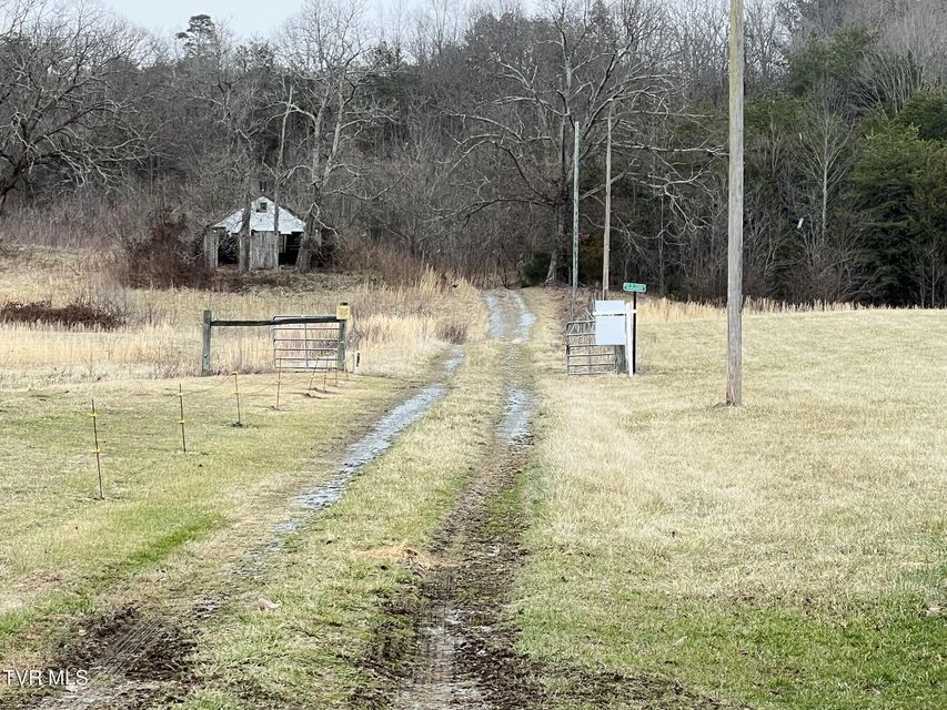 Photo #26: Tbd Brake Tree Lane