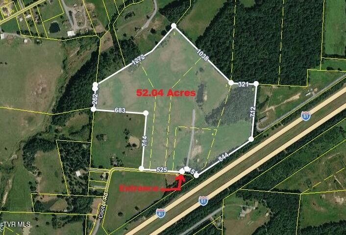 Photo #4: Tbd Brake Tree Lane