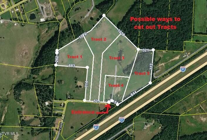 Photo #5: Tbd Brake Tree Lane